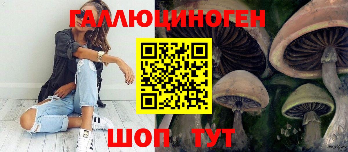 Галлюциногенные грибы GOLDEN TEACHER  цена наркотик  Вход с VPN  Янаул  Галлюциногенные грибы GOLDEN TEACHER 